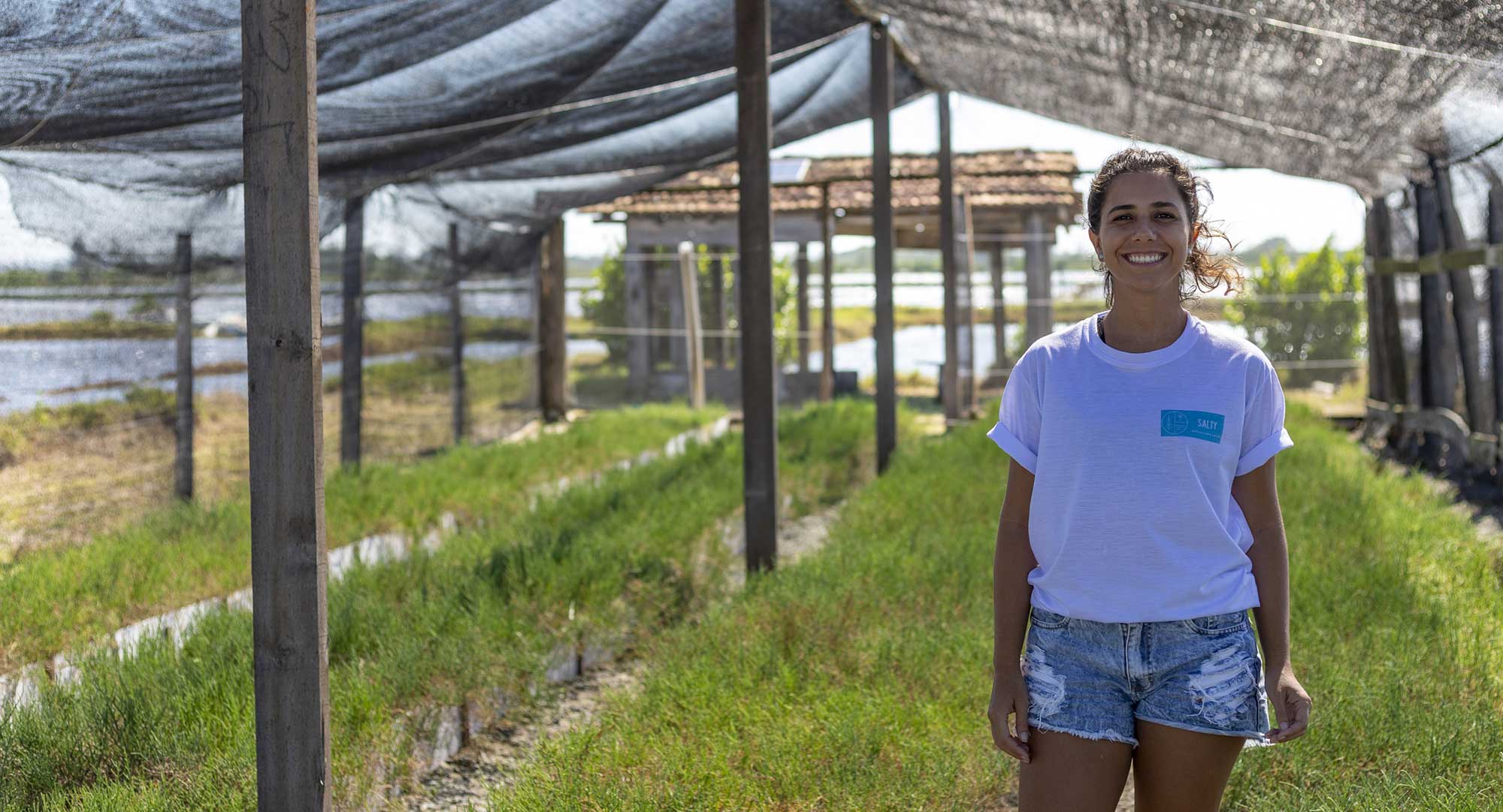 Harley-Davidson LiveWire Sets World Records at EV Racing Exhibition